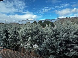 FINCA AVELLANEDA