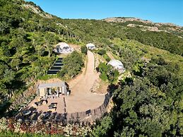 DOMAINE DE SONIA
