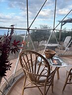 DOMAINE DE SONIA