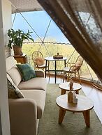 DOMAINE DE SONIA