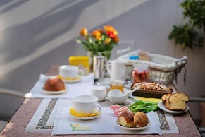 Il Tulipano