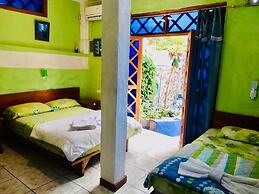PENGUIN HOSTEL