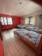 PENGUIN HOSTEL