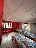 PENGUIN HOSTEL