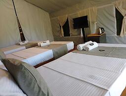 Radiance Ella Urban Camping