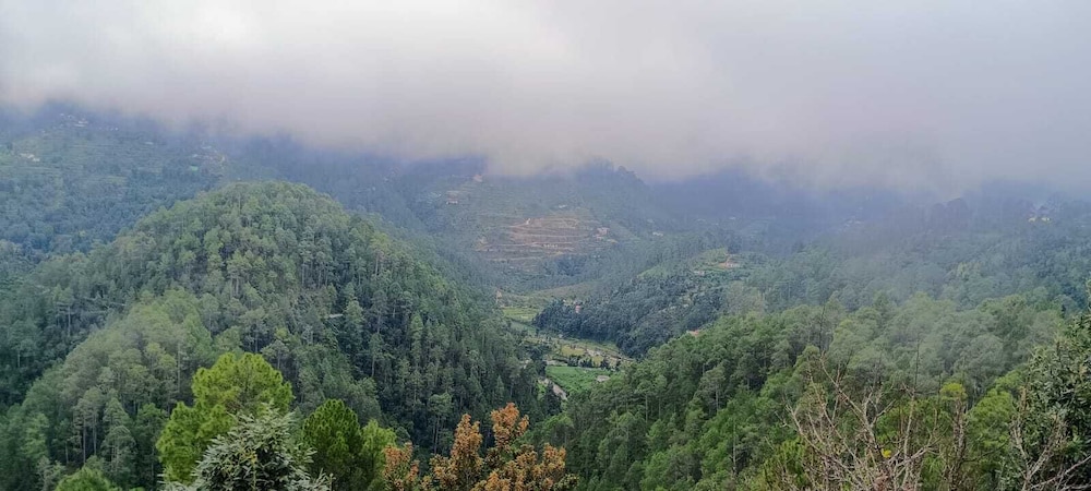 Sanskriti Homestay & Cottage