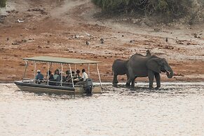 Chobe Princess By Mantis