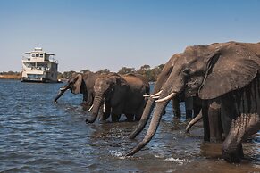 Chobe Princess By Mantis