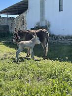 Cortijo Huerta Galindo