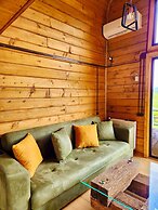 Sioni Hillside Cottages