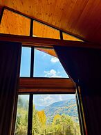 Sioni Hillside Cottages