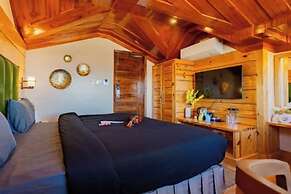 The Hosteller Shimla Valley View