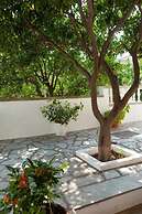 Sofia's Garden by Booking Kottas