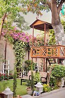 The Bougainvillea