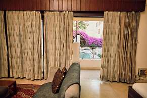 The Bougainvillea