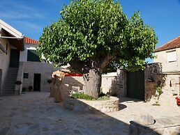 Villa Didova ku a Zadarvillas