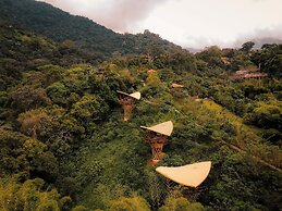 SelvaMinca