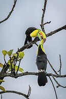 SelvaMinca