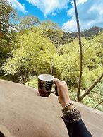 SelvaMinca