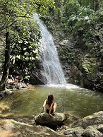 SelvaMinca