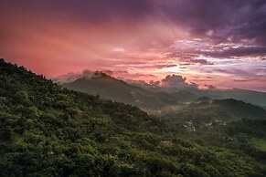 SelvaMinca