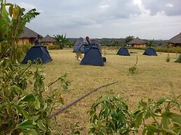 Great Circle Camping and Game Drives