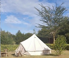Great Circle Camping and Game Drives