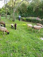Great Circle Camping and Game Drives