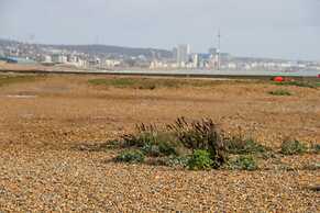 Harbour Way