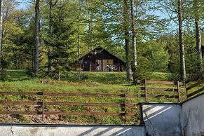 Hotel Tanečnica