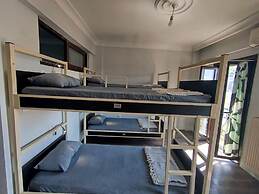 ivy hostel
