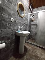 ivy hostel
