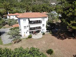Hestia Garden View - Thassos Homely Vibes
