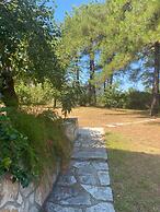 Jasmin Bright Nest - Bloomy Garden View