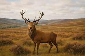 Host Stay Deer View Lodge
