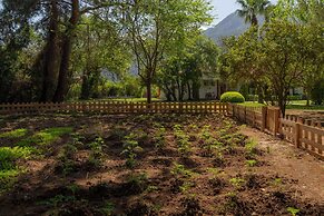 Odile by Naturelife