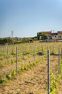Quinta do Oratório Agroturismo