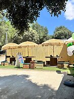Glamping la bellota