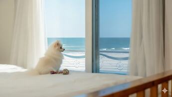 Goseong Jajackdo Aroma Pension