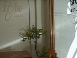 Trybe Capsule Hostel Chiang Mai