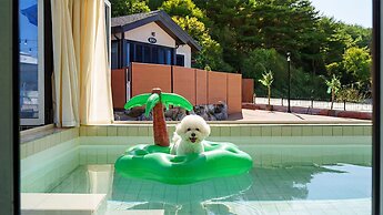 Taean Holy Dog Pool Villa