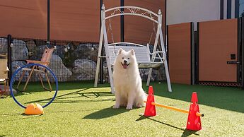 Taean Holy Dog Pool Villa