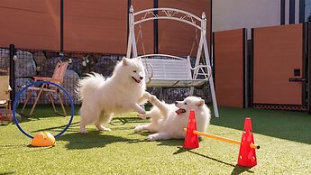 Taean Holy Dog Pool Villa