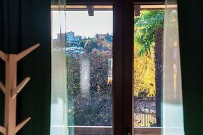 Florida Ascona Rooms
