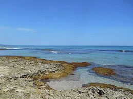 Brisas del Caribe # 2