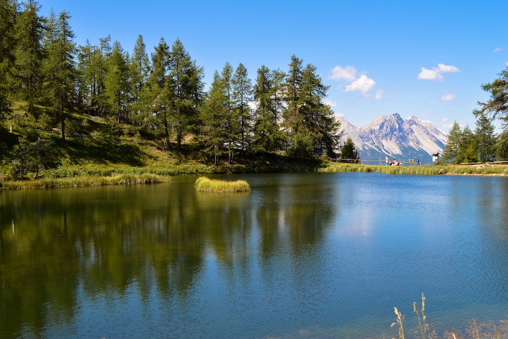 Appartamento Vista Alta