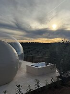 Panoramic Suites