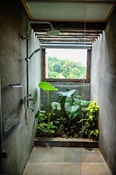 Banana Bunks Kandy