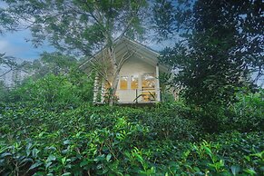 Ilukketiya Tea chalets