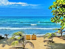 Turtle Beach Sanctuary Utila
